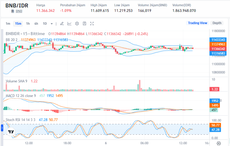 Performa BNB di Pasar Saat Ini